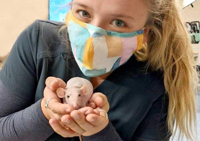 Carousel Slide 10: Veterinary Assistant with pet rat