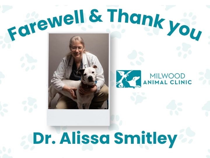 A Heartfelt Farewell to Dr. Alissa Smitley